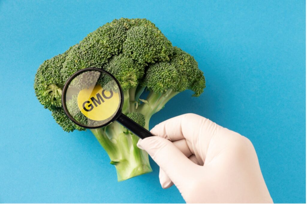 Makanan ubah suai genetik (GMO) merupakan contoh isu sosiosaintifik yang memerlukan penilaian bukti saintifik serta pertimbangan nilai dan kesan terhadap masyarakat (Sumber gambar  Freepik)